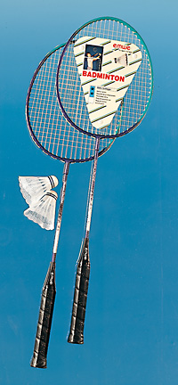 2890.5 Badminton-Spiel