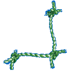 netz2